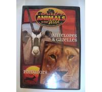 Animals in the Wild: Antelopes & Gazelles and Predators