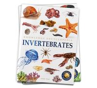 Animals - Invertebrates : Knowledge Encyclopedia For Children