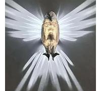 Animals LED Wall Light Night, Print Animal LED Wall Lamp, Bald Eagle Wall Lights, Bird Lamp Animal Lamp, Creative Sculpture Animal Wall Lamp, Wireless Golden Eagle Owl Wall Sconce Wall Art Decor