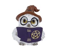 Animals & Nature Cornelius Owl Figurine 7cm | Figurines | Acotis - Resin