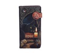 Animals & Nature Nemesis Now Lisa Parker Witching Hour Cat Witch Purse Black
