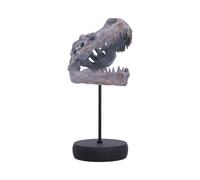 Nemesis Now Tyrannosaurus Rex Skull on Plinth 24.2cm - Fossilised T-Rex Skull Ornament, Prehistoric Dinosaur Display Figure
