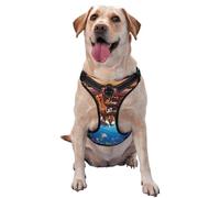 Animals On Noah's Ark2 Pattern Dog Harness - Lightweight,Soft,Adjustable Small Harness and Leash Set, Suitable for Puppy Small and Medium-Sized Dog-X-Large