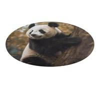 Animals on Tree Round Area Rug Non Slip Backing Doormat Water Absorbent Plush Throw Low-Pile Non-Slip Floor Mat Carpet for Living Room Bedroom Entryway Nursery Room 80 * 80cm