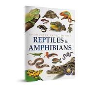 Animals - Reptiles and Amphibians : Knowledge Encyclopedia For Children