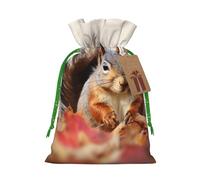 Animals Squirrel Printed Christmas Drawstring Bags,M Reusable Xmas Gift Storage Bags, Green Christmas Ribbon