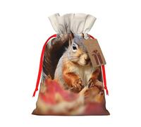 Animals Squirrel Printed Christmas Drawstring Bags,S | Reusable Xmas Gift Storage Bags, Red Ribbon