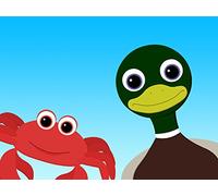 Animals That Swim