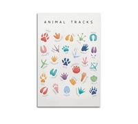 Animals Tracks EducationalClassic Aesthetic Poster Decorative Painting Canvas Wall Art Living Room Poster Bedroom PaintingUnframe-style 24x36inch(60x90cm)