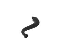 Animals Trunk Animal Tailbone End 10PCS Compatible with Lego GDS-M301 43892 Classic Bulk Toy MOC Color:Black