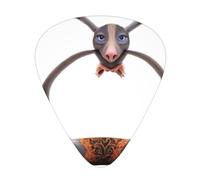 Animals with long ears Printed pick set - 12 pieces, thin, medium and thick guitar picks, suitable for guitar, bass, electric guitar and ukulele