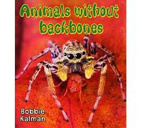 Animals Without Backbones (Big Science Ideas)