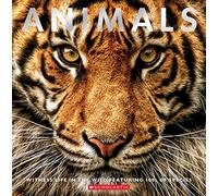 Animals: Witness Life in the Wild Featuring 100s of Species