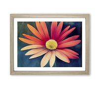 Animated Daisy Flower H1022 BLK Framed Print for Living Room Bedroom Home Office Décor, Wall Art Picture Ready to Hang, Oak A4 Frame (34 x 25 cm)