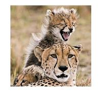 Ani'mates 3D Holographic Card - Cheetah and baby