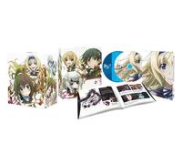 Animation - Infinite Stratos 2 Vol.2 (2DVDS) [Japan DVD] OVBA-1002