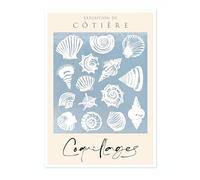 Animato Sea Shells Nautical Exhibition Art Print, Vintage Botanical Prints, Retro Sealife Oceanography Illustration Wall Art Pictures, Nature Bathroom Home Decor, A1 (Print Only) - 84.1x59.4cm