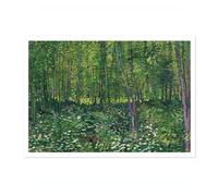 Animato Trees & Undergrowth Vincent Van Gogh Print, Classic Famous Oil Painting Print, Modern Art Exhibition, Home Decor Wall Art, Archival Matte, A5 (Print Only) - 21x14.8cm