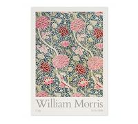 Animato William Morris Cray Picture, Botanical Flower Poster, Fruit Floral Pattern Print, Nature Home Decor, Archival Matte, 50x70cm (Print Only) - 50x70cm
