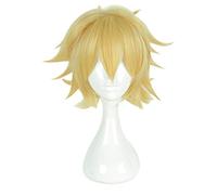 Anime Aotu World Cosplay Wigs God Rose Cosplay Wig Heat Resistant Synthetic Wig Hair Halloween Carnival Party Game Cosplay Wigs