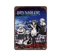 Anime Brynhildr in The Darkness 2 Tin Sign Vintage Metal Pub Club Cafe Bar Home Wall Art Decoration Poster Retro 12x16inch(30x40cm)