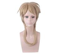 Anime Coser wig Anime JOJO' s Bizarre Adventure Dio Brando Wig Cosplay Costume Heat Resistant Synthetic Hair Party Role Play Wigs