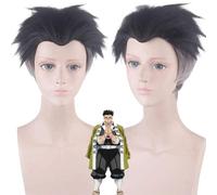 Anime Coser wig Demon Slayer Kimetsu no Yaiba Gyoumei Himejima Kyoumei Short Wig Cosplay Costume Heat Resistant Synthetic Hair Men Wigs