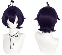 Anime Cosplay Hiiragi Utena Wig, Purple Short Hair Heat Resistant Synthetic Wigs Halloween Party Accessories
