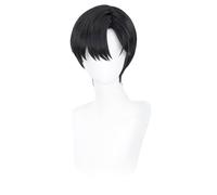 Anime Cosplay Wig Black Hair Wig Short Straight Wig Heat Resistant Wig Halloween Costume Party Wig (Black)