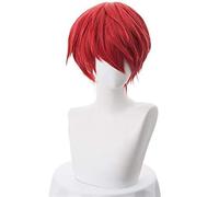 Anime Cosplay Wig for Akabane Karma 25cm Red Short Synthetic Hair Unisex Halloween Party Wigs