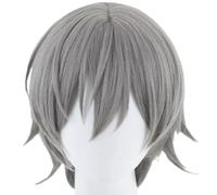 Anime Cosplay Wig for Rail Caelus Hair Halloween Role Play Party