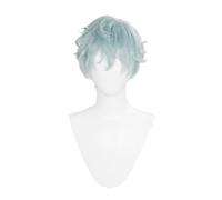 Anime Cosplay Wig Light Grey Blue Green Hair Short Straight Wig Heat Resistant Wigs Halloween Costume Party Wigs