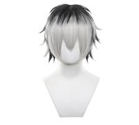 Anime Cosplay Wig Ombre Black Grey Wig Short Fluffy Wig with Bangs Heat Resistant Synthetic Hair Halloween Party Wigs (Ombre Black Grey)