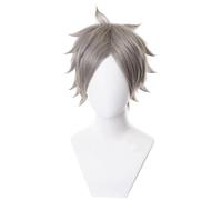 Anime Cosplay Wig Semi Eita Short Gray Halloween Costume Cosplay Wig,For Christmas Carnival Party
