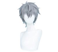 Anime Cosplay Wig Silver Grey Hair Wig Short Straight Wig with Bangs Heat Resistant Wig Halloween Costume Party Wig