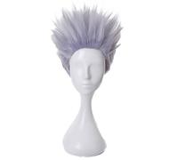 Anime Cosplay Wig Synthetic Heat Resistant Hair with Wig Cap for Halloween Party Comic Con (Silver 2)