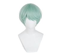 Anime Costume Cosplay Wig, Purple Braid Wigs for Women Men, Pop Singer Hair Halloween Cosplay Props (Green)