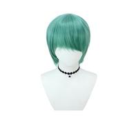 Anime Costume Cosplay Wig, Purple Braid Wigs for Women Men, Pop Singer Hair Halloween Cosplay Props (Green-Man)