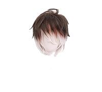 Anime Diabolik Lovers Mukami Ruki Wig Cosplay Men Short Ombre Wig Heat Resistant Synthetic Hair Wigs+ Wig Cap