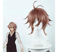 Anime Fate Apocrypha Cosplay Wigs Sieg Homunculus Cosplay Heat Resistant Synthetic Wig Hair Halloween Carnival Party Game Wig