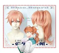 Anime Fate/Grand Order Romani Archaman Dr. Roman Doctor Cosplay Wig+ Free Wig Cap