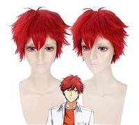 Anime Gekkan Shoujo Nozaki-Kun Cosplay Wig Red Short Fluffy Synthetic Hair Mikoshiba Mikoto Halloween Costume Wigs For Men