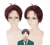 Anime Gekkan Shoujo Nozaki-Kun Synthetic Wig Brown Red Short Hair Wakamatsu Hirotaka Cosplay Wigs Party Costume Wig