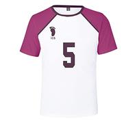 Anime Haikyuu T-Shirt in Clothing for Men, Karasuno High School Volleyball Team Jersey No.4, NO. 10 Tee Top, for Cosplay