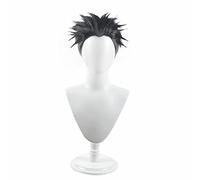 Anime Himejima Gyoumei Short Cosplay Wig Synthetic Hair Black Grey Ombre Halloween Costume Party Wigs For Men