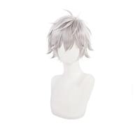 Anime Kaworu Nagisa Cosplay wig Short Silver Gray Heat Resistant Synthetic Hair Halloween Wigs