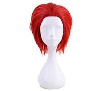 Anime My Boku no Hero Academia Eijirou Kirishima Eijiro Short Red Heat Resistant Synthetic Cosplay Costume Wig + wig Cap