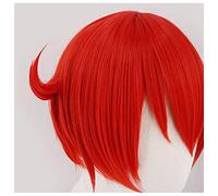 Anime new products at the fit Unisex Erythrocyte cosplay anime clothing men's uniforms wigs Halloween costumes S wig 1