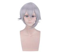 Anime Role Play For Fgo Lang Lin Wang Wig Silver Gray Hair Wig Fate Grand Order Apocrypha Cosplay Wig 35cm