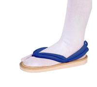 Anime Unisex Cosplay Clog Shoes for Kamado Tanjirou Shinobu Cos Sandal Prop Oshitari with Socks (Blue,3)